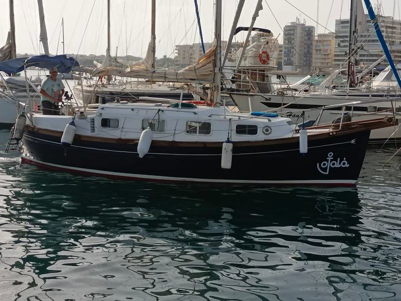 MYABCA DELFIN 31