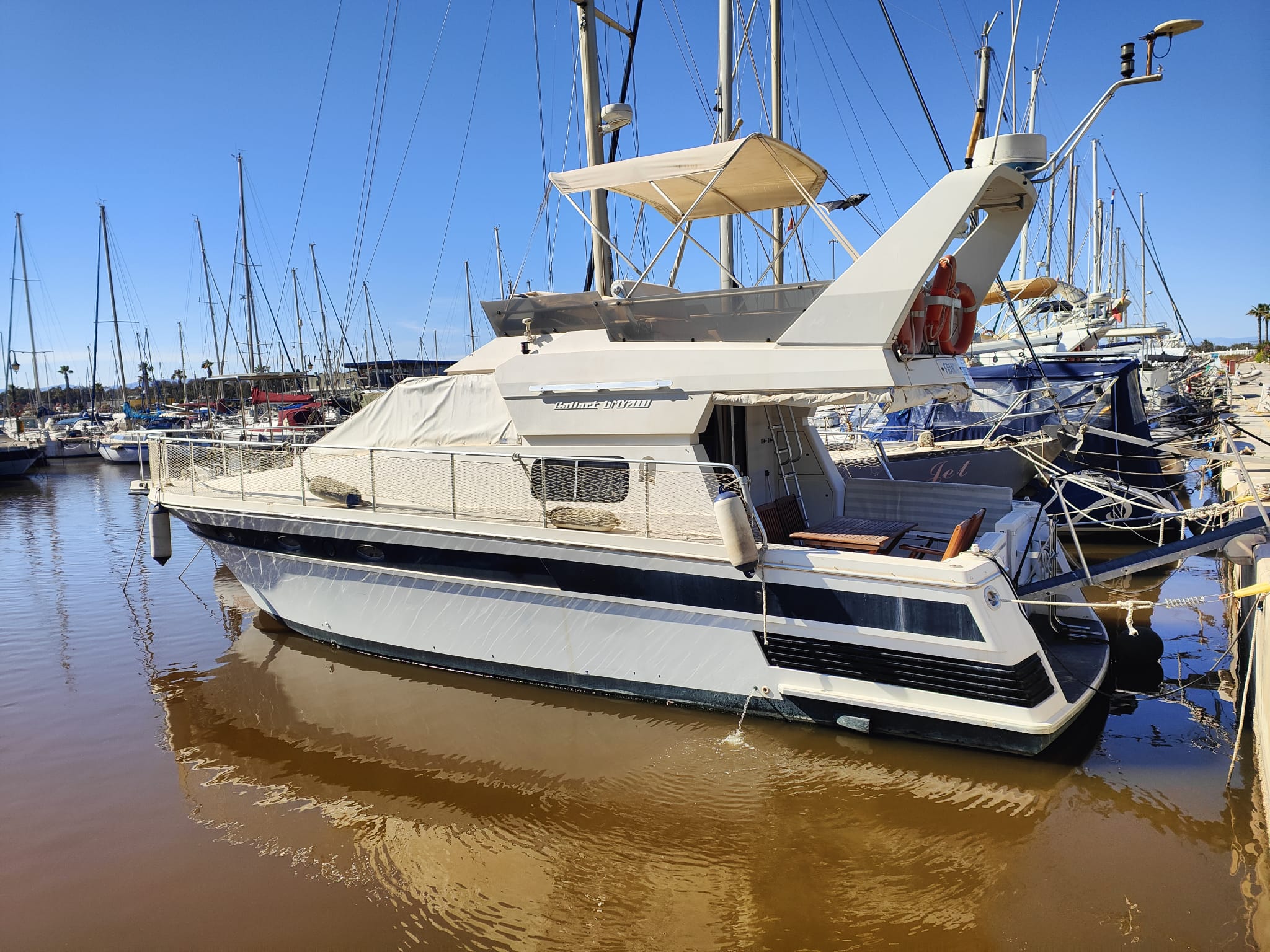 GALLART 11 MY 2000