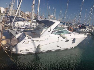 SEA RAY 290 SUNDANCER