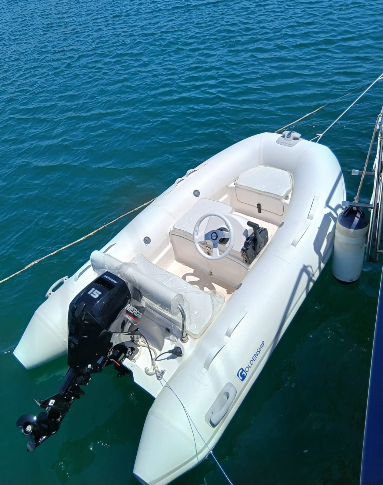 GOLDENSHIP 290